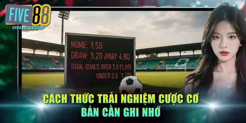 Cách thức trải nghiệm cược cơ bản cần ghi nhớ