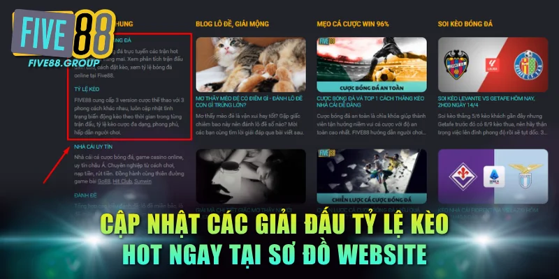 Cập nhật các giải đấu tỷ lệ kèo hot ngay tại sơ đồ website