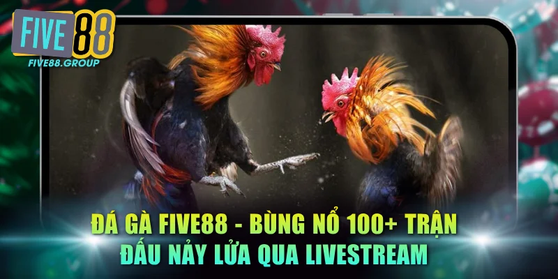 Đá Gà FIVE88 - Bùng Nổ 100+ Trận Đấu Nảy Lửa Qua Livestream