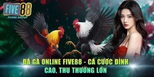 Đá gà online FIVE88