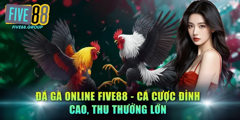 Đá gà online FIVE88