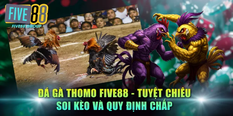 đá gà Thomo FIVE88