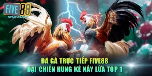 Đá gà trực tiếp FIVE88