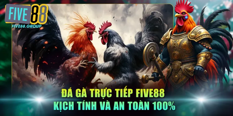 Đá gà trực tiếp FIVE88 kịch tính và an toàn 100%