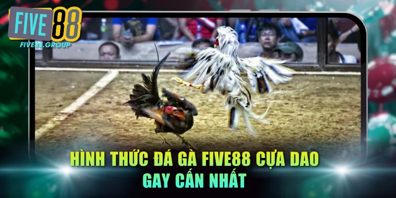 Hình thức đá gà FIVE88 cựa dao gay cấn nhất