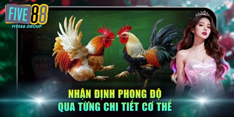 Nhận định phong độ qua từng chi tiết cơ thể